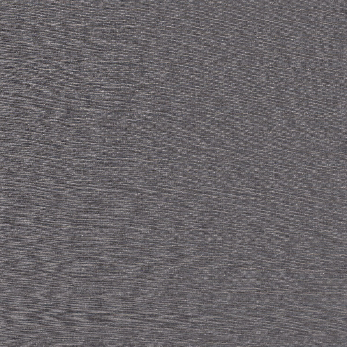 Sunlit Sisal - Paynes Gray