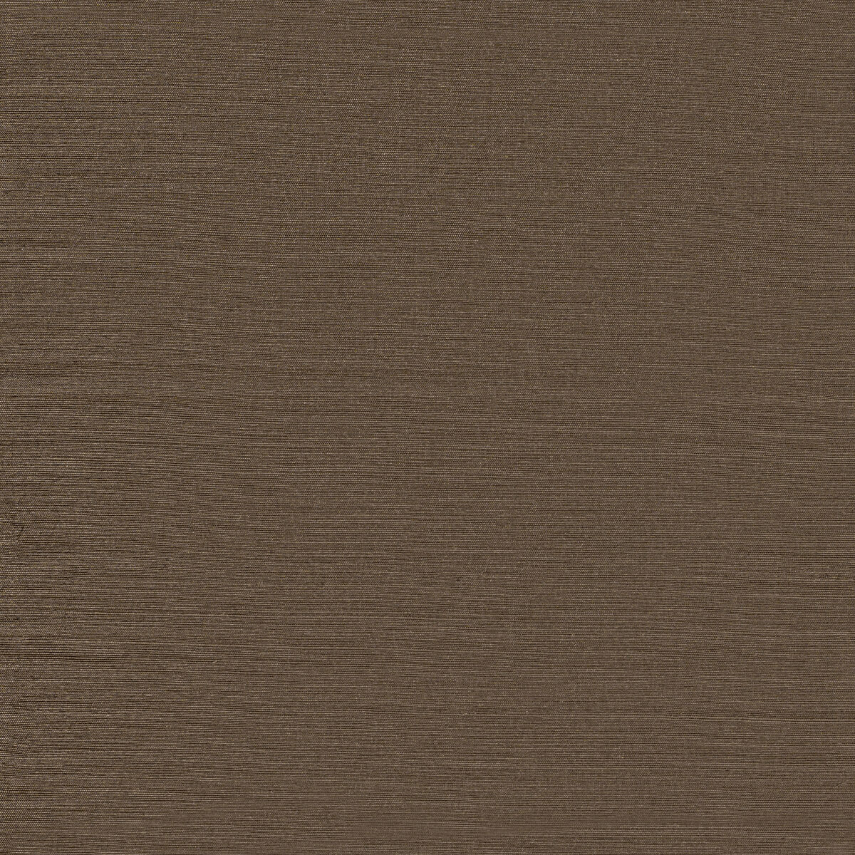 Sunlit Sisal - Silvered Driftwood