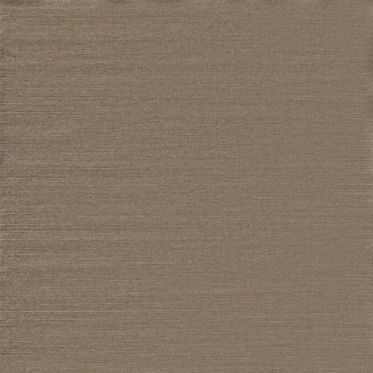 Sunlit Sisal - Silver Lining