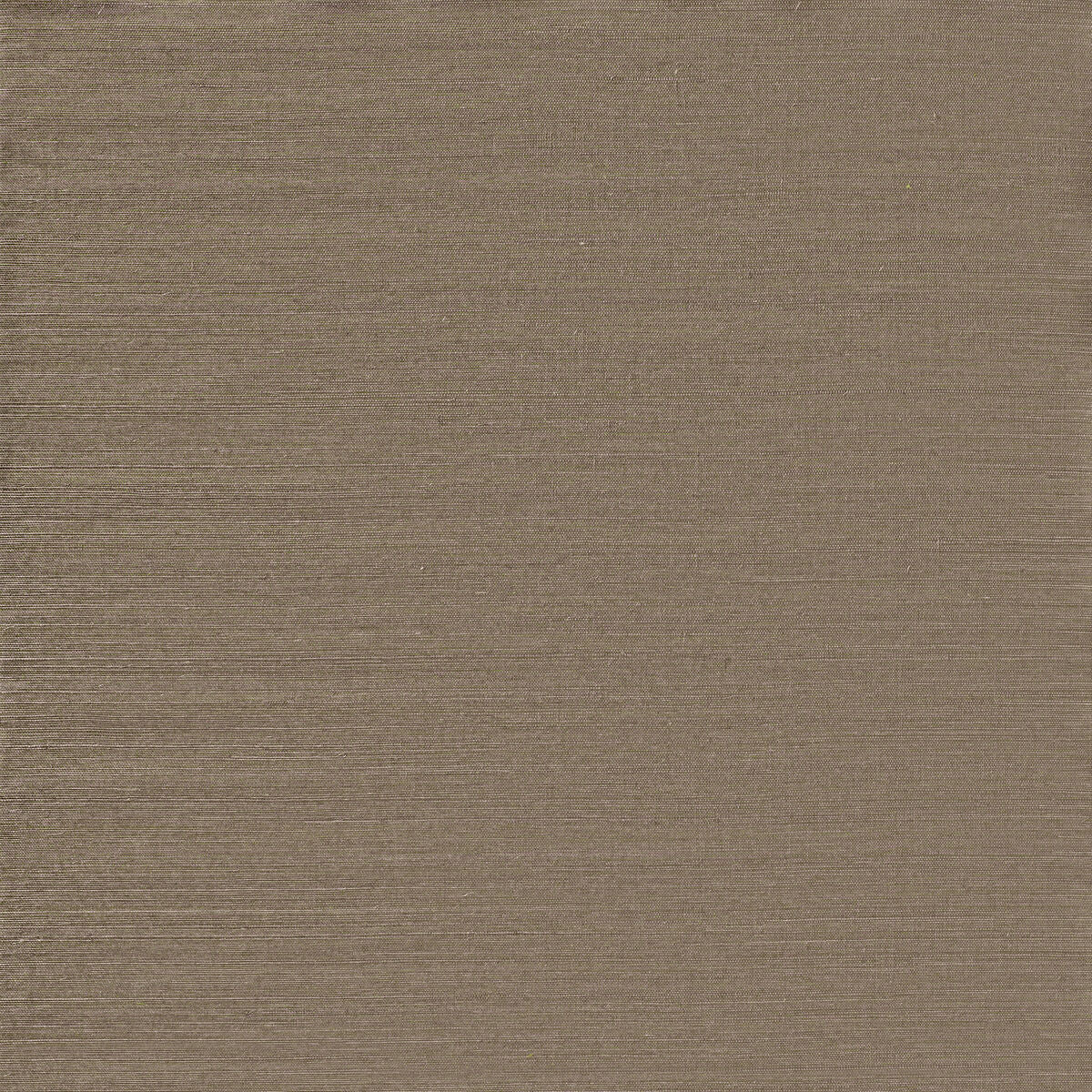 Sunlit Sisal - Silver Lining - Winfield Thybony Wallpaper