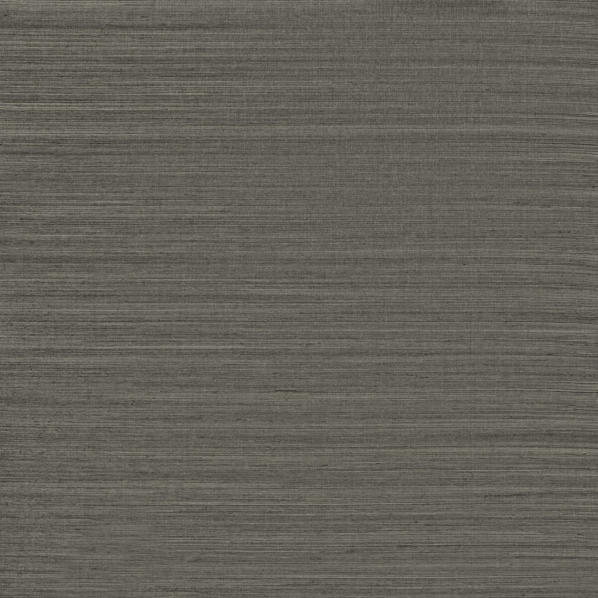 Serenity Sisal - Graphite - Winfield Thybony Wallpaper