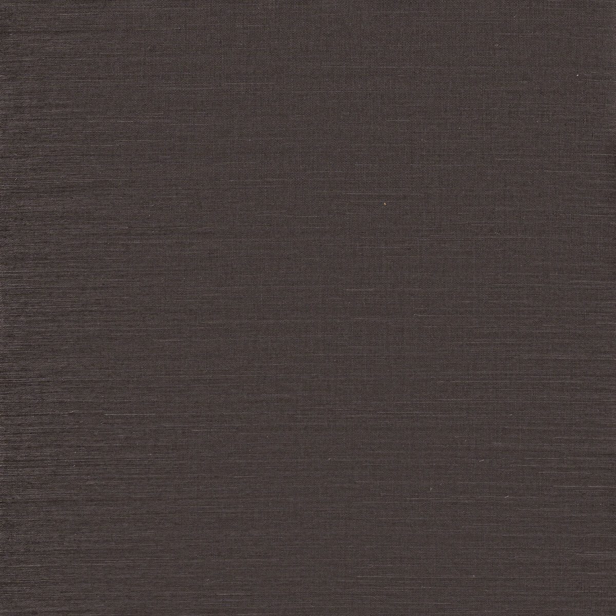 Sunlit Sisal - Steel - Winfield Thybony Wallpaper