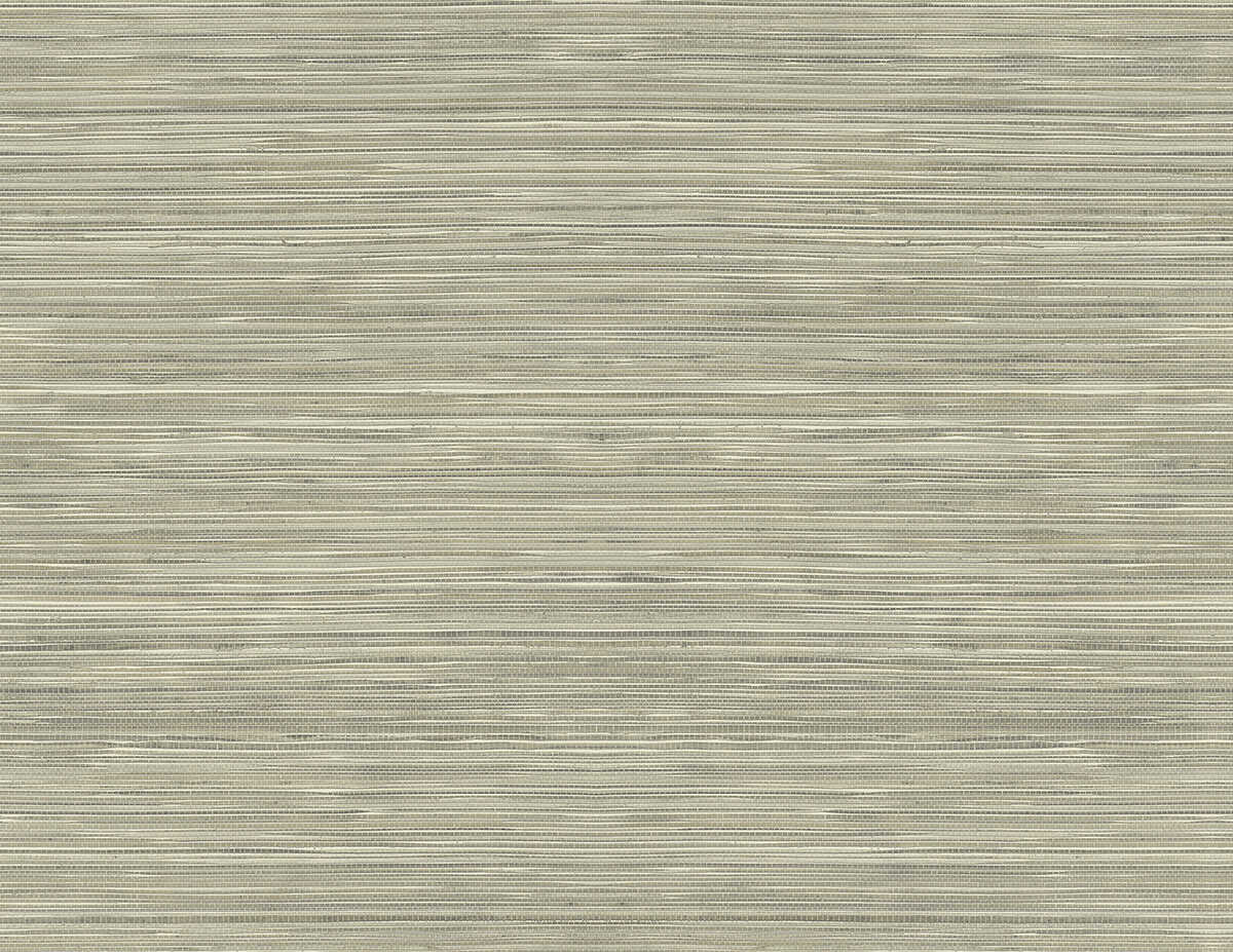 Grasscloth Texture - Taupe