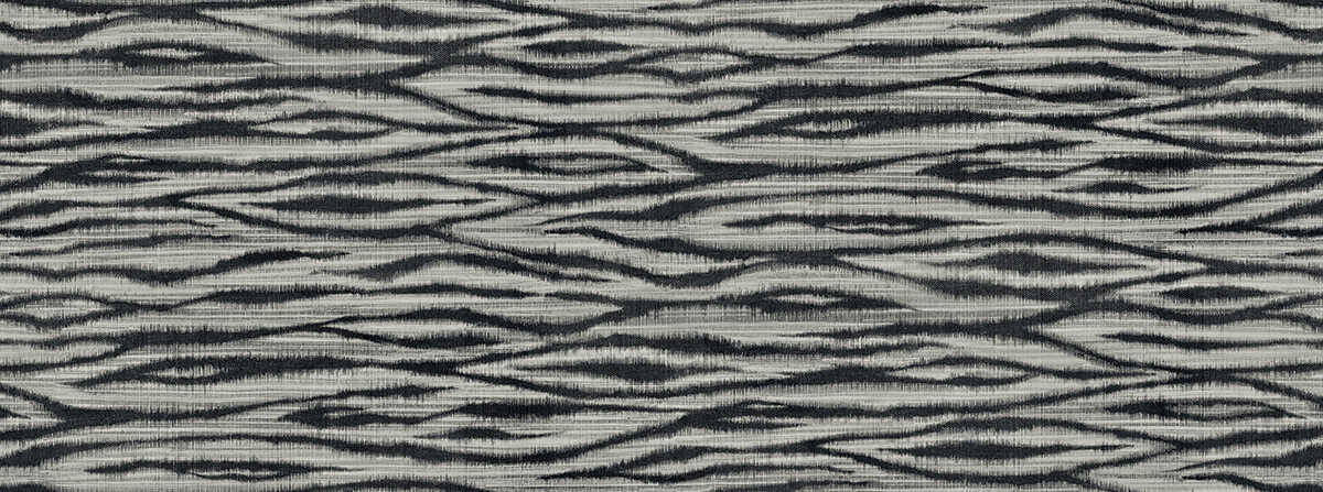 Leon 54 - Zebra