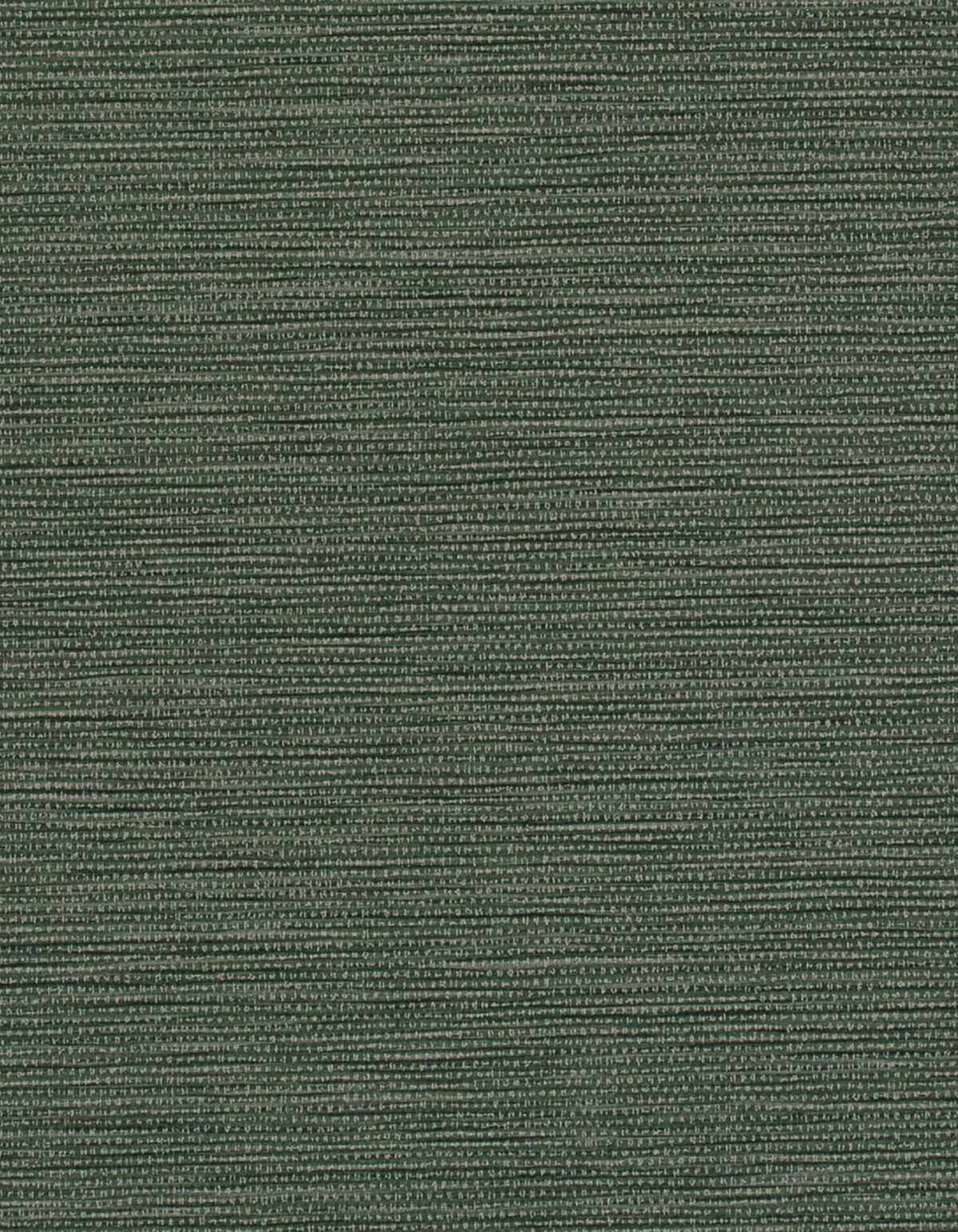 Labyrinth - Forest - WINFIELD THYBONY Wallpaper