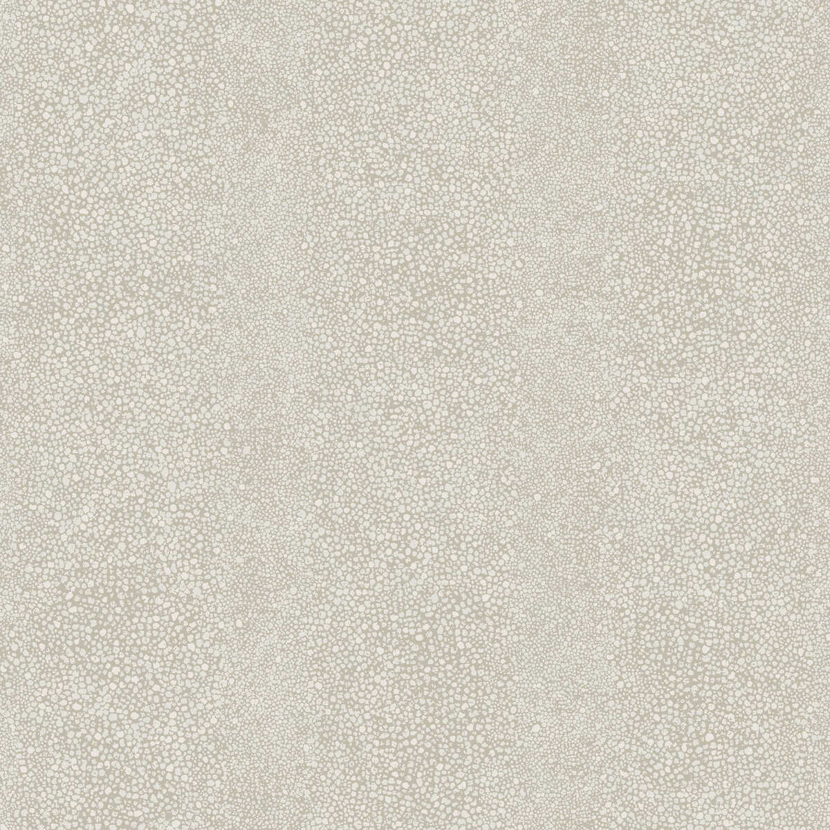 Ray - Sun Light - WINFIELD THYBONY Wallpaper