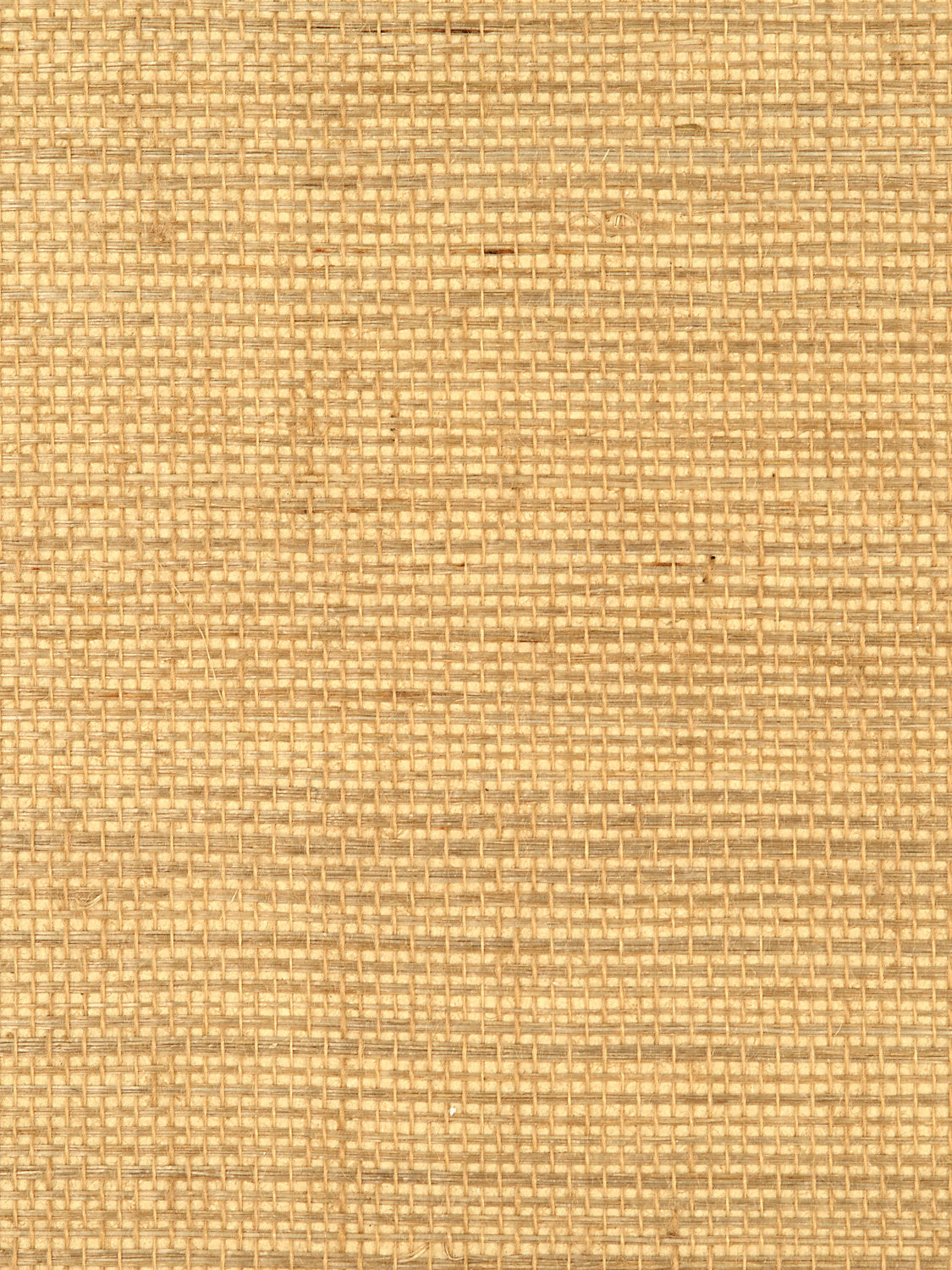 Simply Sisal - Custard