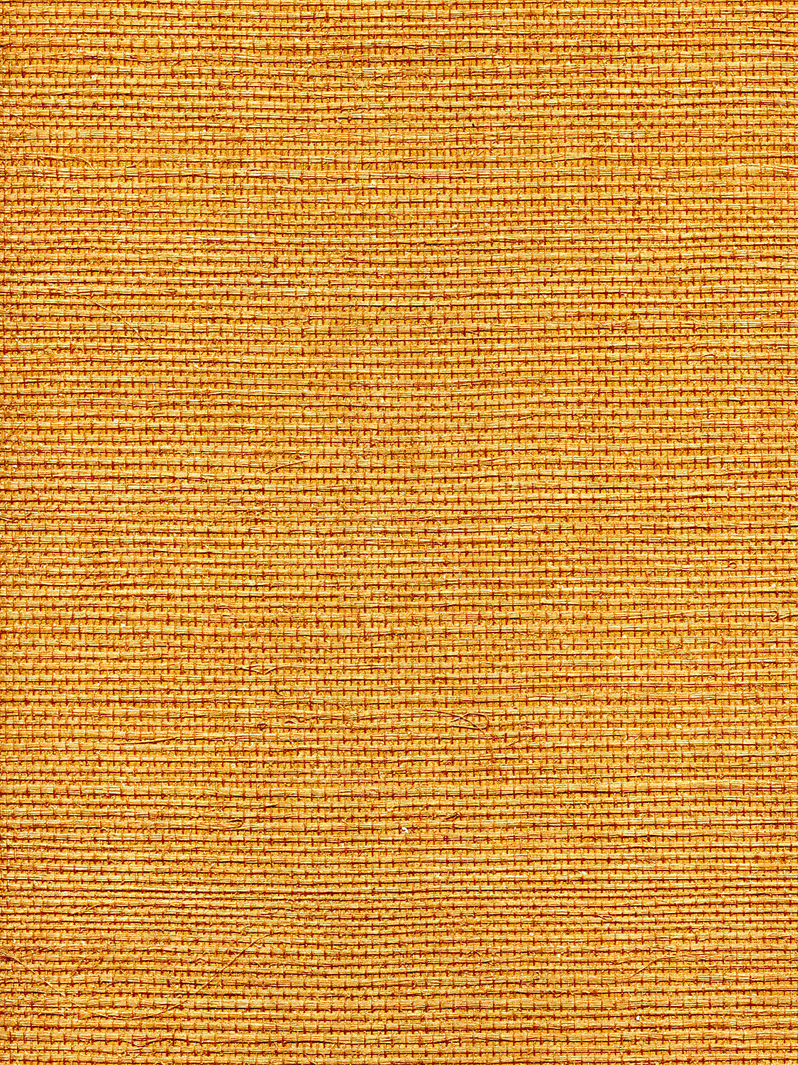 Organic Sisal - Tuscan - Scalamandre Wallpaper