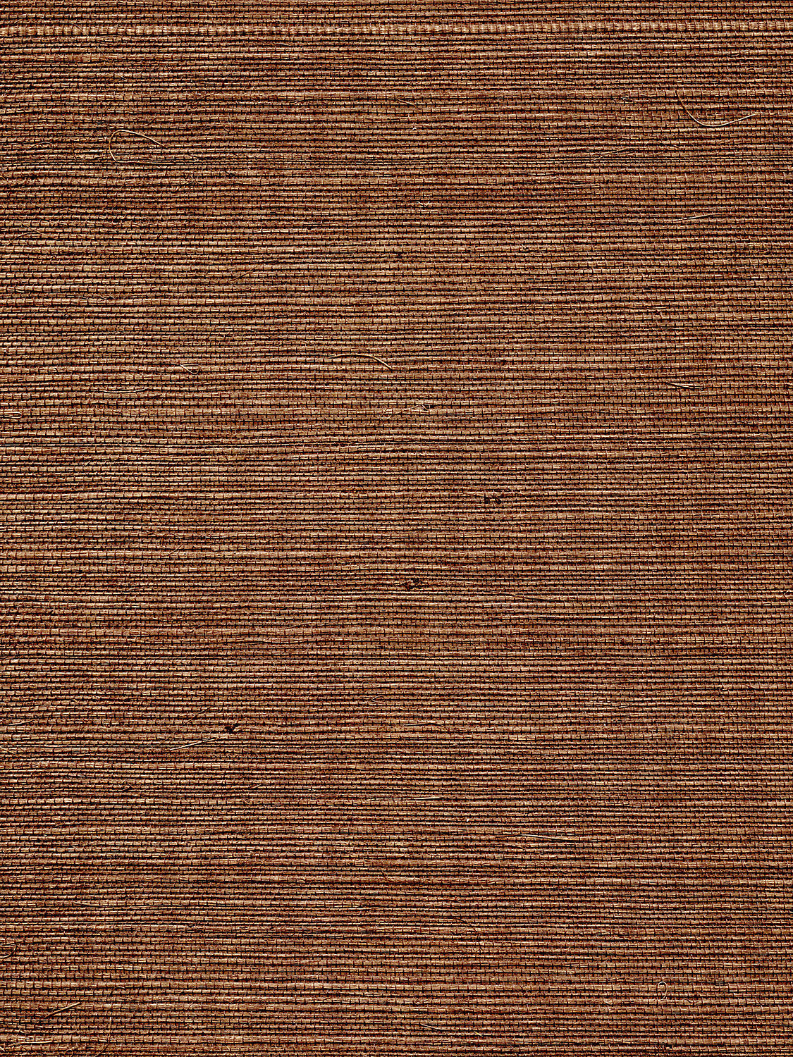Organic Sisal - Brush - Scalamandre Wallpaper