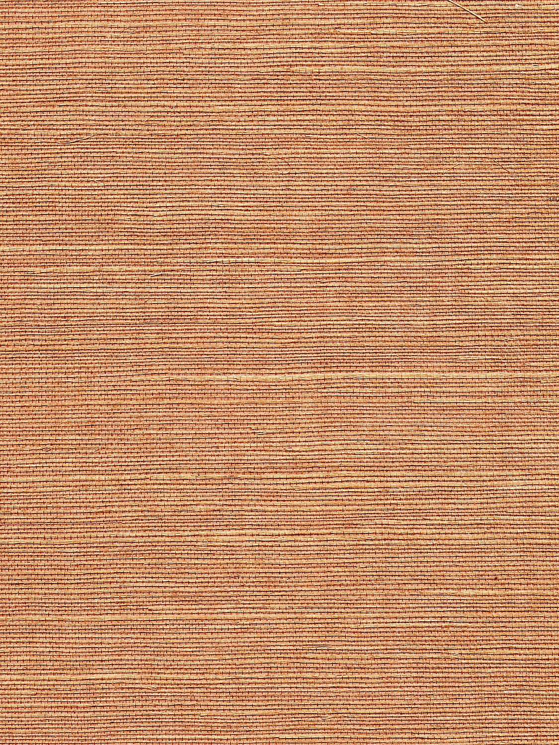 Organic Sisal - Java - Scalamandre Wallpaper