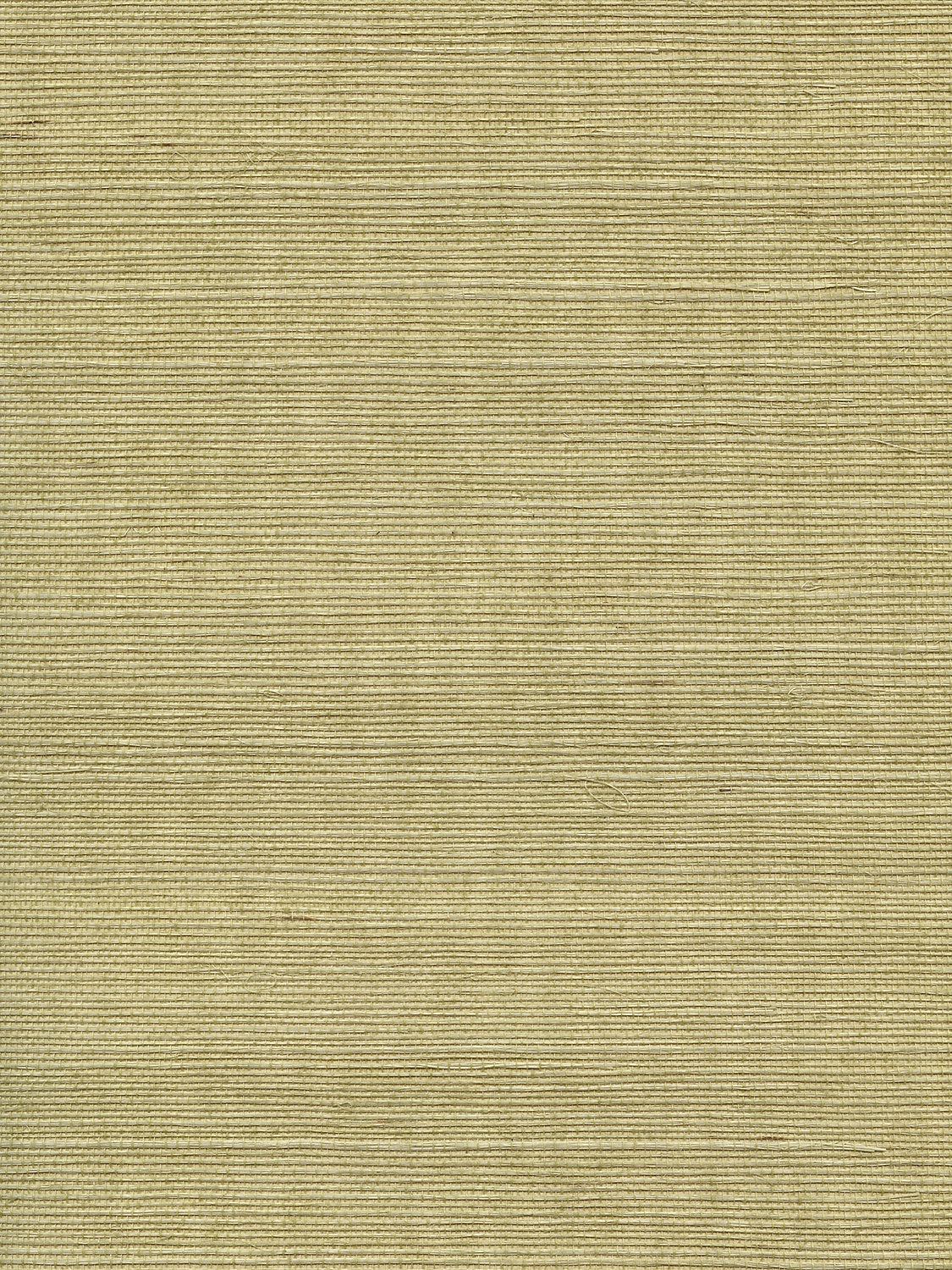 Organic Sisal - Springtime - Scalamandre Wallpaper