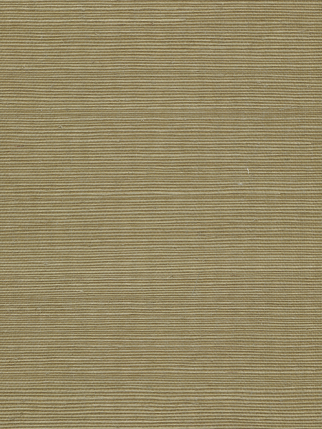 Organic Sisal - Ferndale - Scalamandre Wallpaper