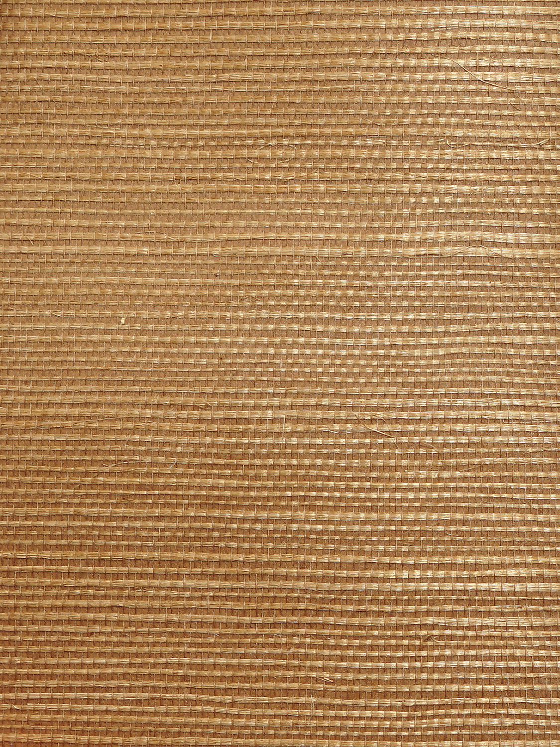 Organic Sisal - Saddle - Scalamandre Wallpaper