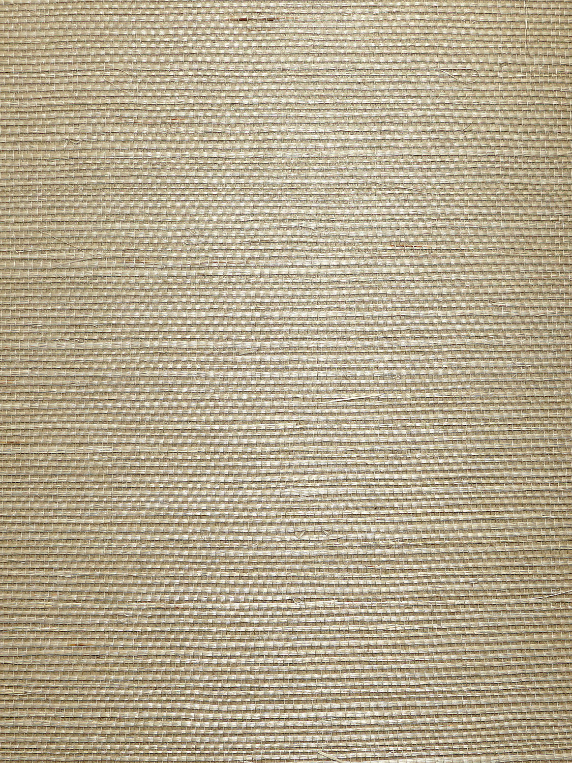 Organic Sisal - Cremini
