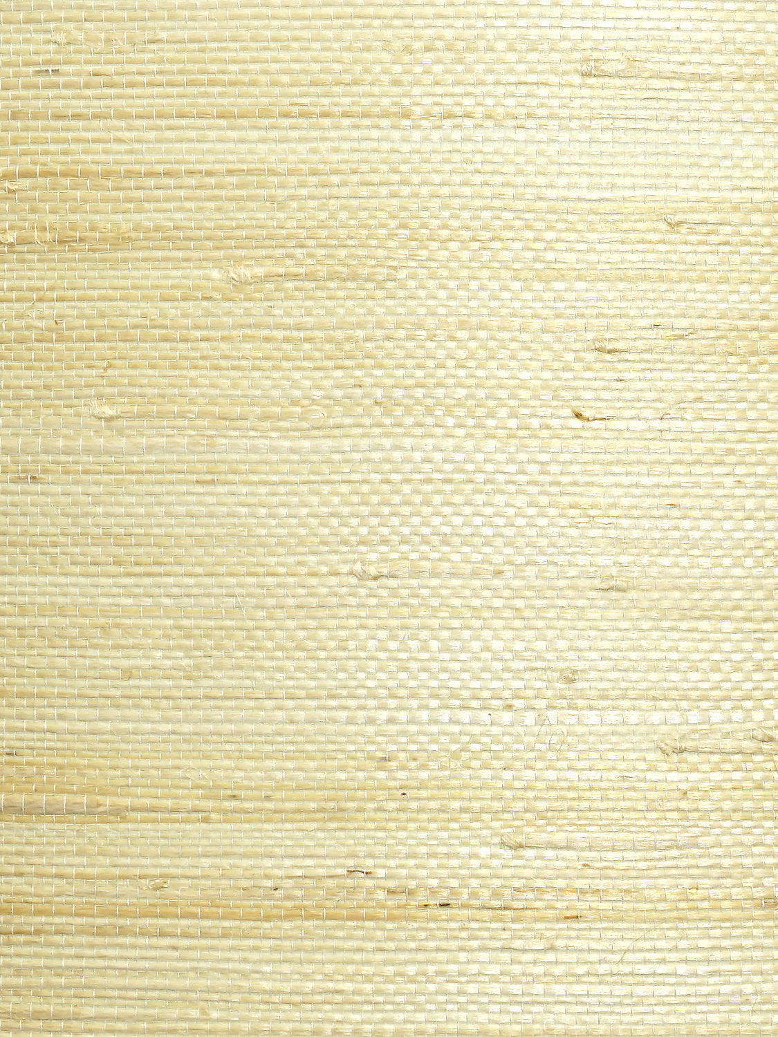 Natural Jute - Cotton - Scalamandre Wallpaper