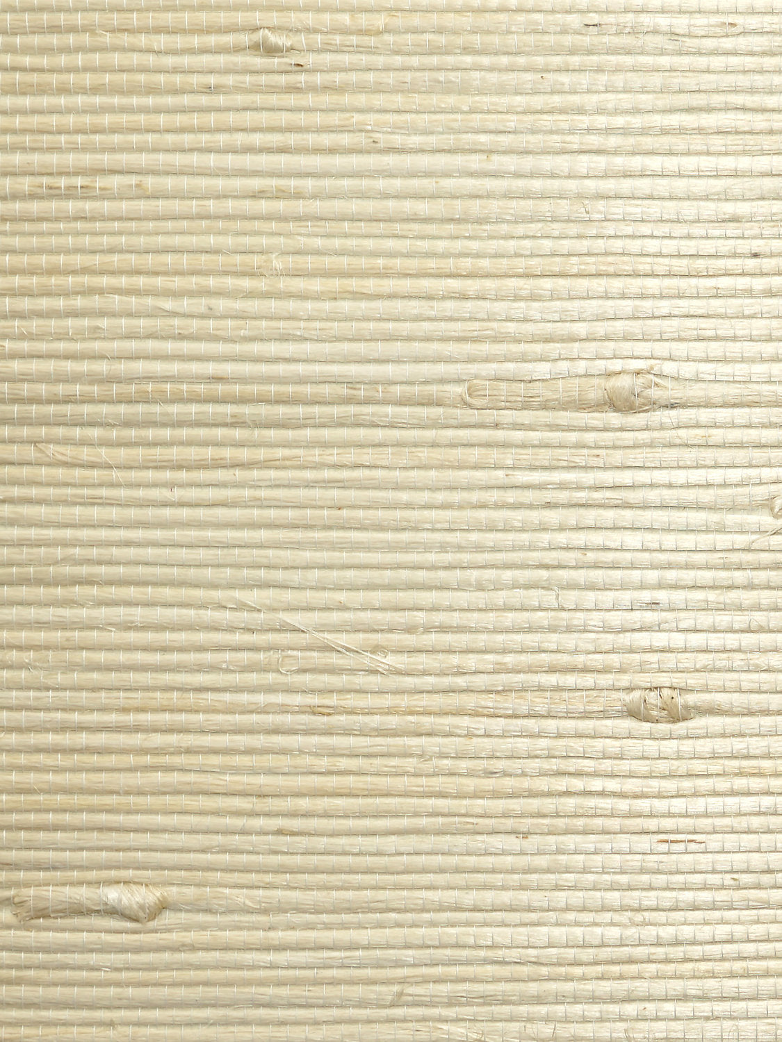Natural Jute - Cotton In The Raw