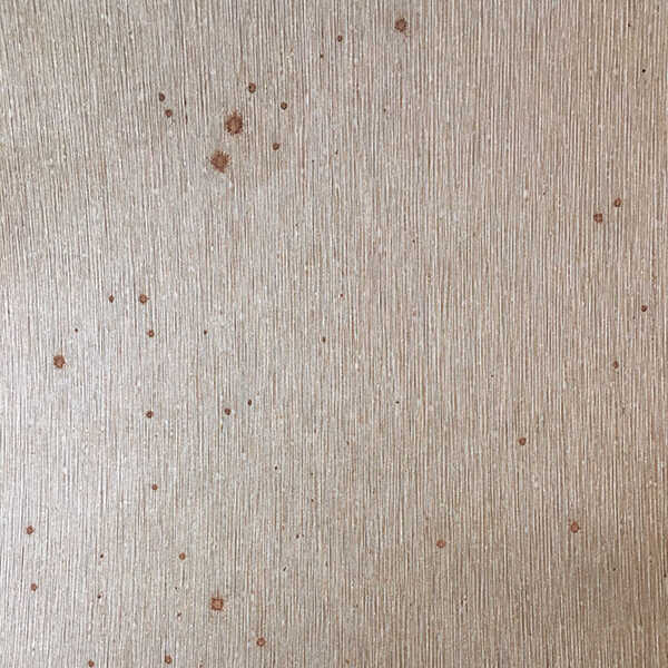 Texturedfoil - WINFIELD THYBONY Wallpaper
