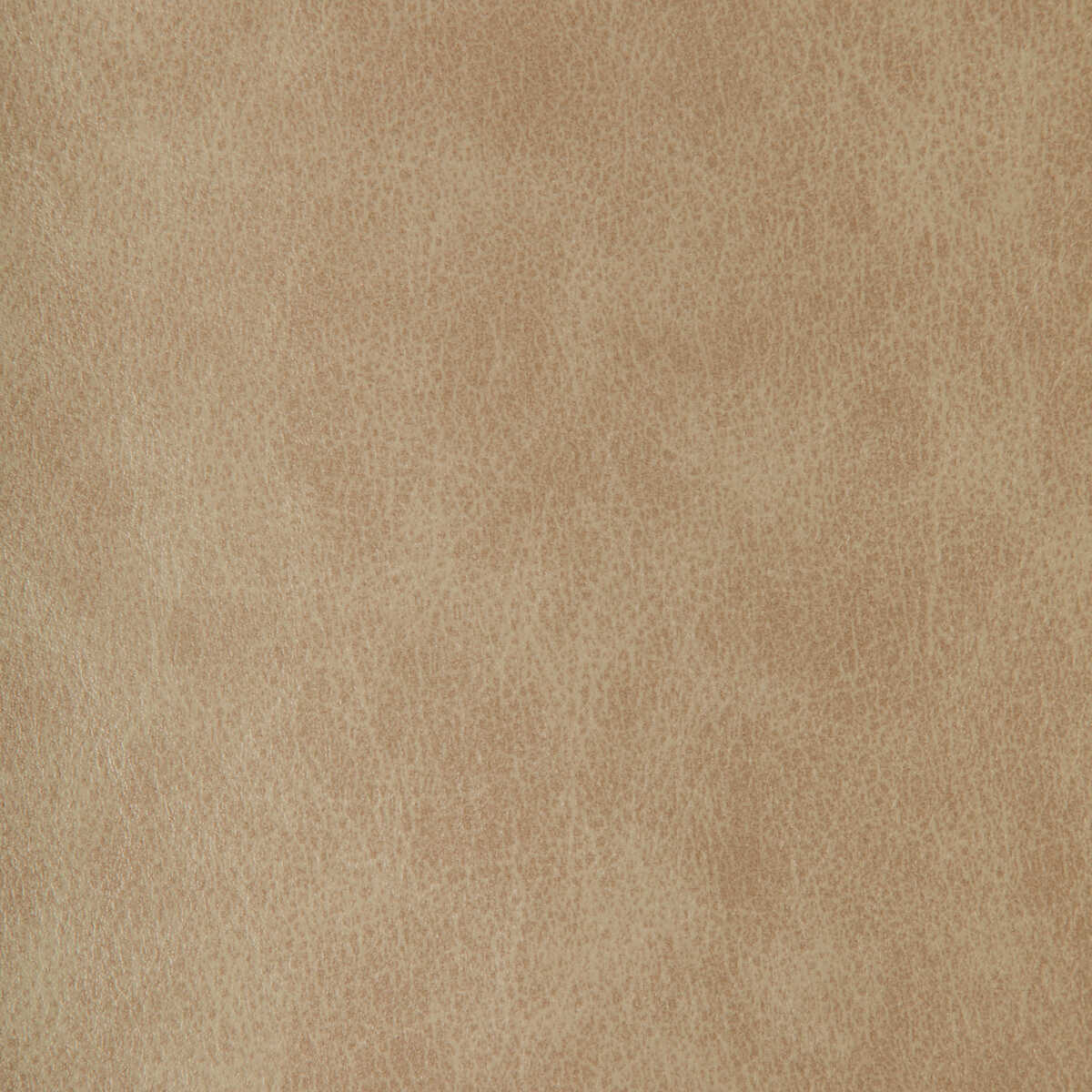 Kravet Design - Zenon-11 - KRAVET DESIGN Tela