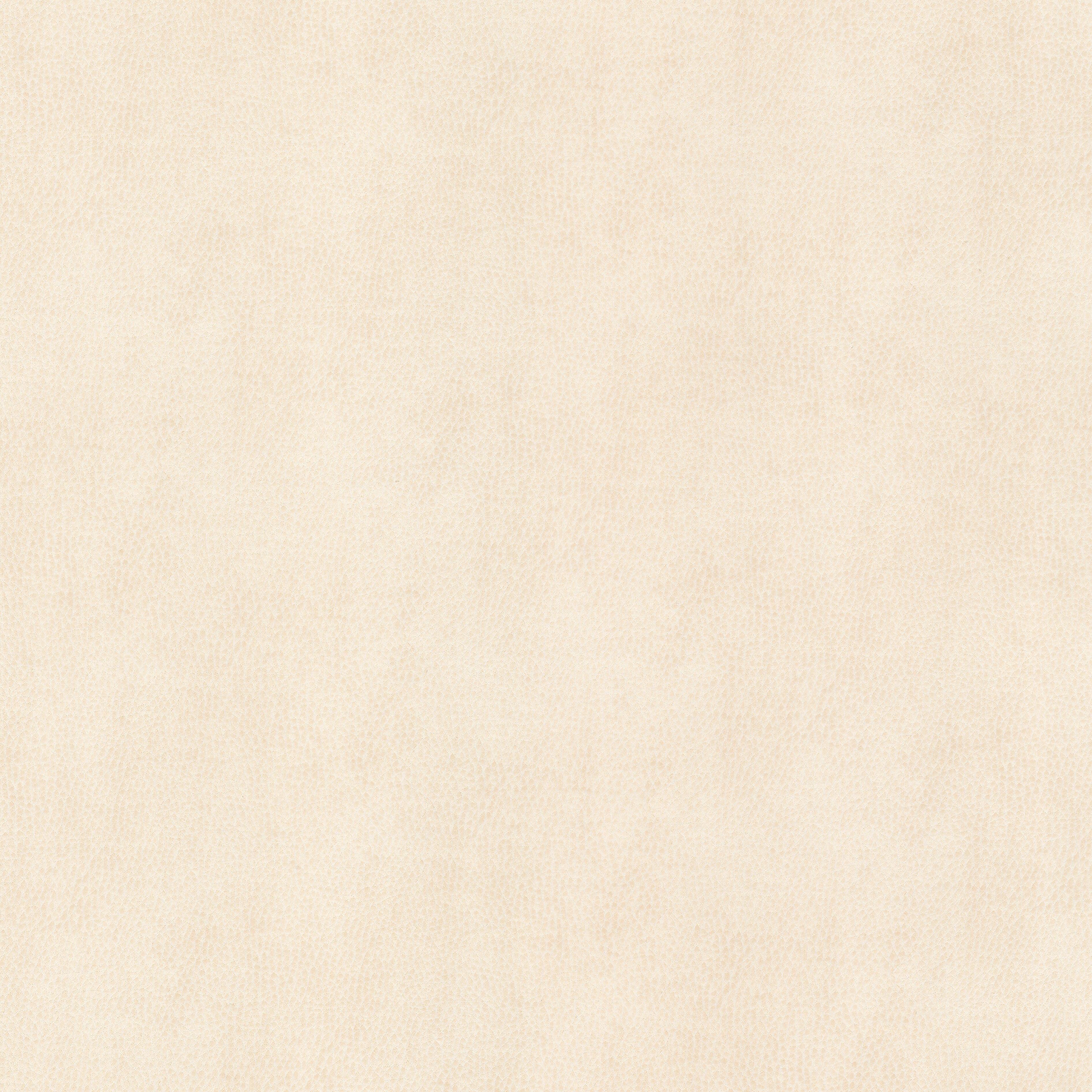 Ziemba 2 Oyster by Stout Fabric