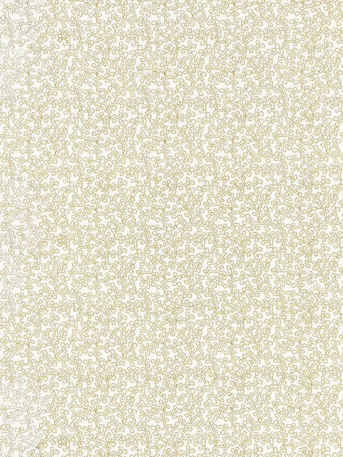 Hele Bay - Ivory