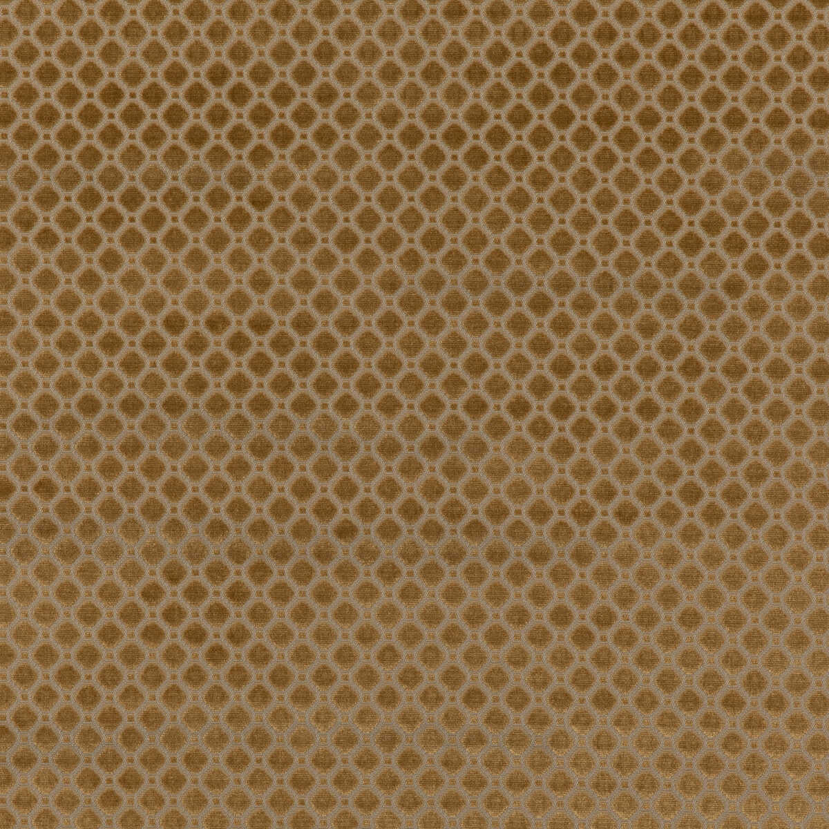 Indus Velvet - Bronze - G P & J BAKER Fabric