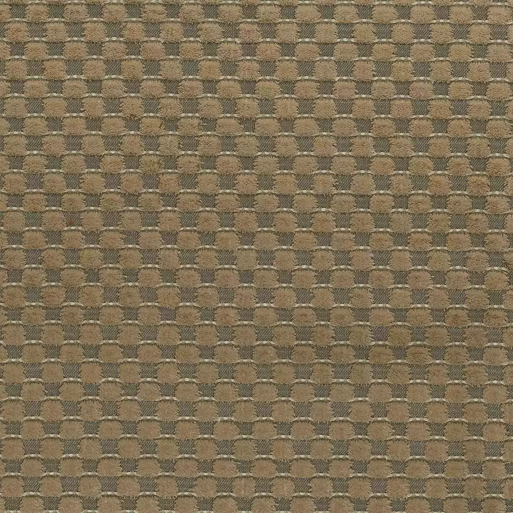 viviana-alisa-camel-osborne-little-f7741-07