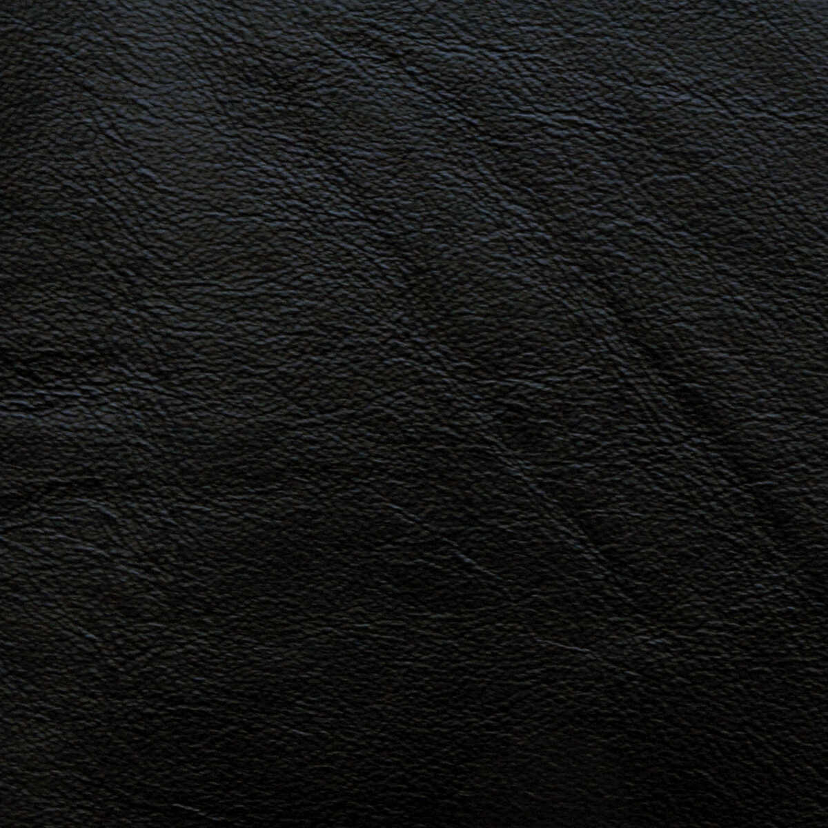 Kravet Design - L-Portofin-Black - KRAVET DESIGN Fabric