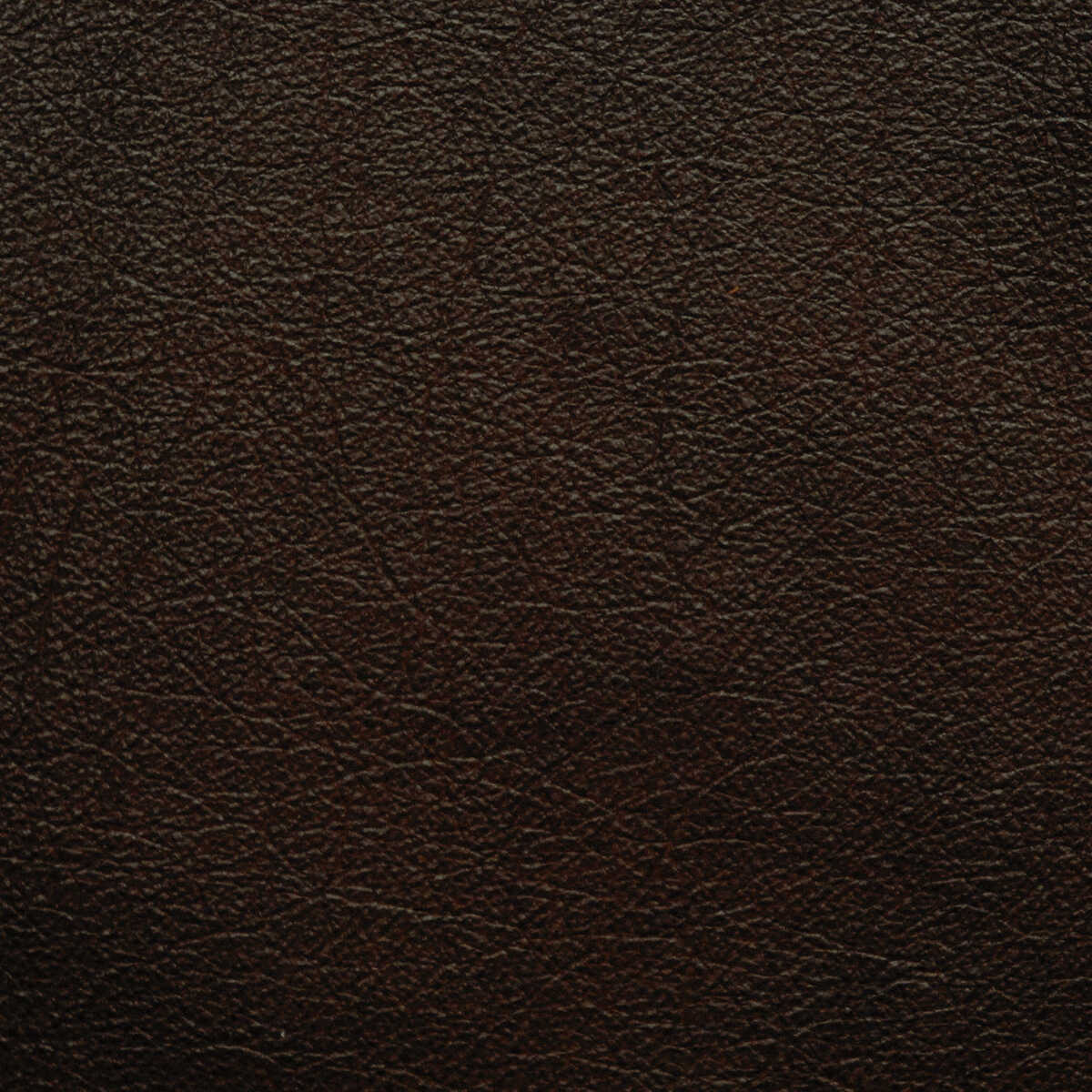 Kravet Design - L-Portofin-Chocolate - KRAVET DESIGN Fabric
