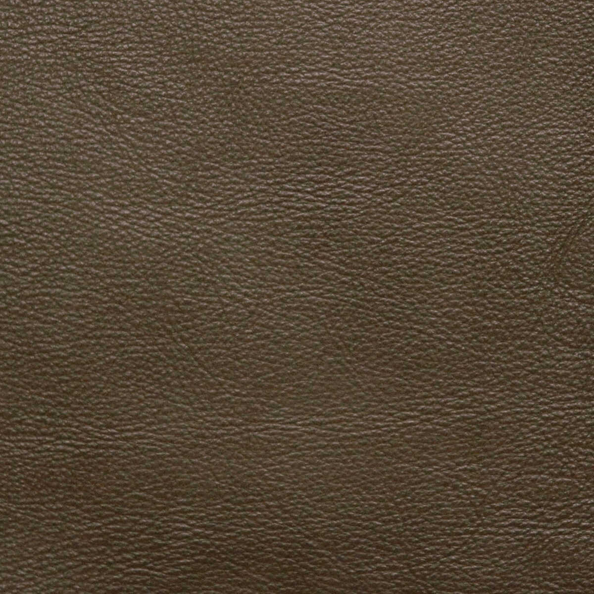 Kravet Design - L-Portofin-Sage - KRAVET DESIGN Fabric