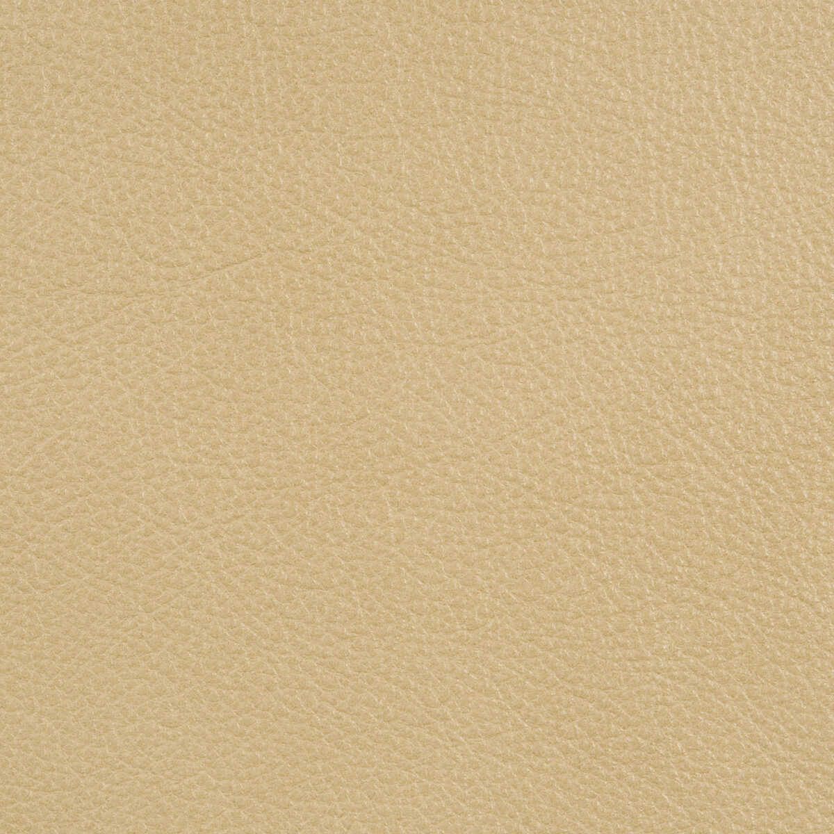 Kravet Design - L-Portofin-White Sand - KRAVET DESIGN Fabric
