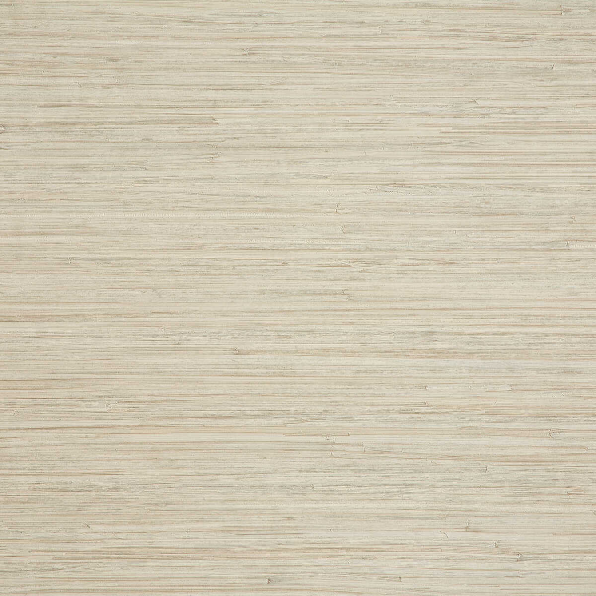 Enea - 06 - KRAVET DESIGN Wallpaper