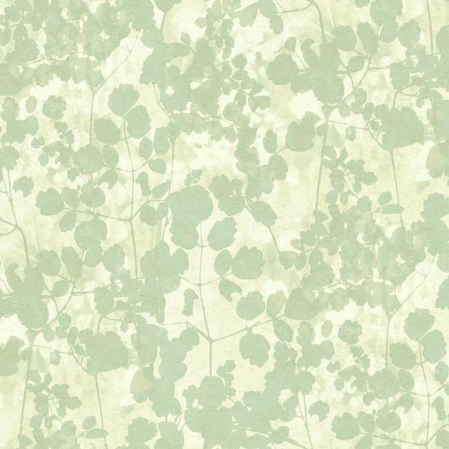 pressed-leaves-wallpaper-soft-green-york-wallcoverings-na0517