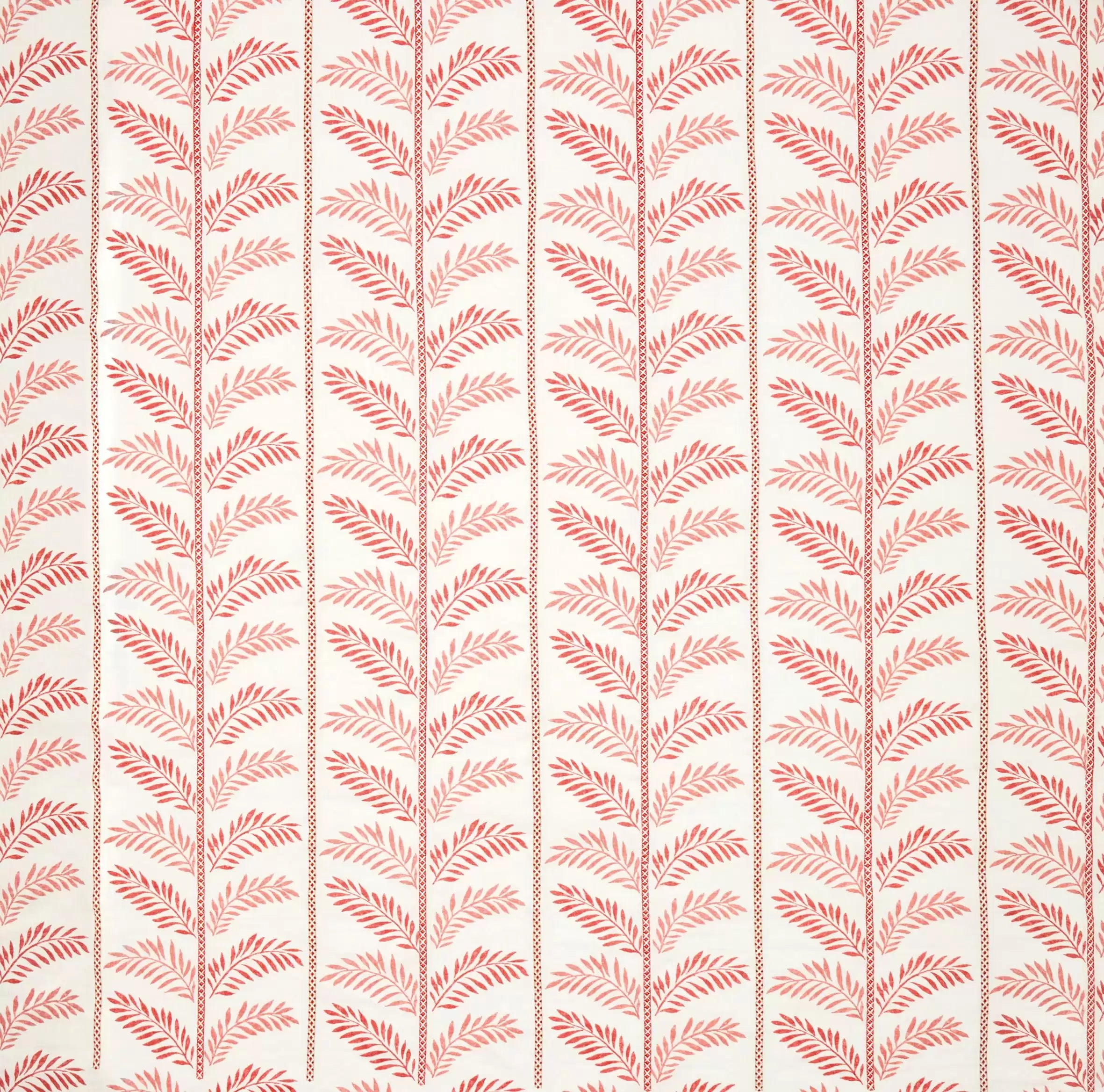 plumier-nina-campbell-ncf4462-02
