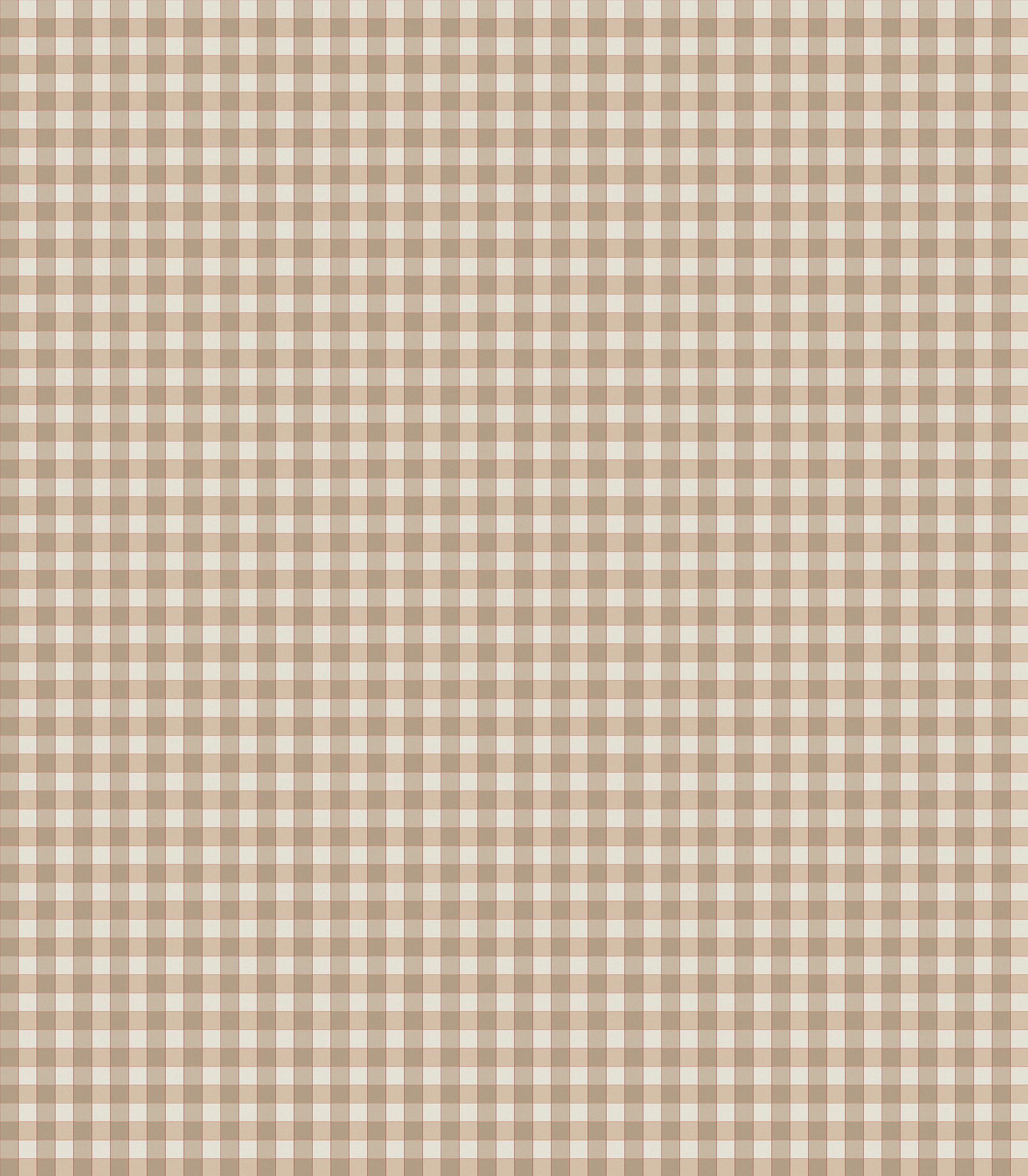 nc-honfleur-check-nutmeg-nina-campbell-ncf4582-01