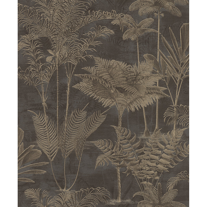 Picture of Kinabalu Black Rainforest Wallpaper