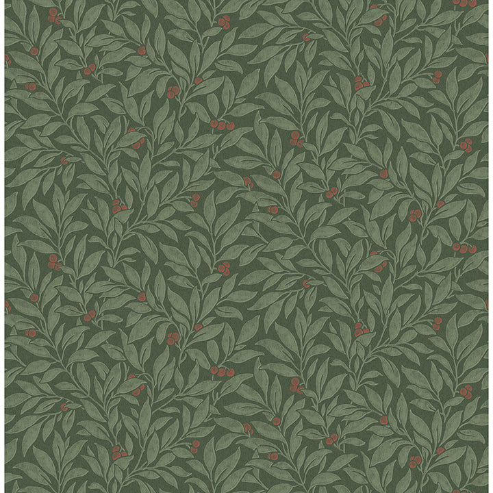 Picture of Winter Berry Evergreen Vine Wallpaper