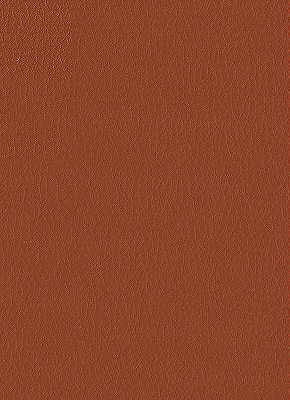 fortune240-kravet-design-fortune-24-kravet-design