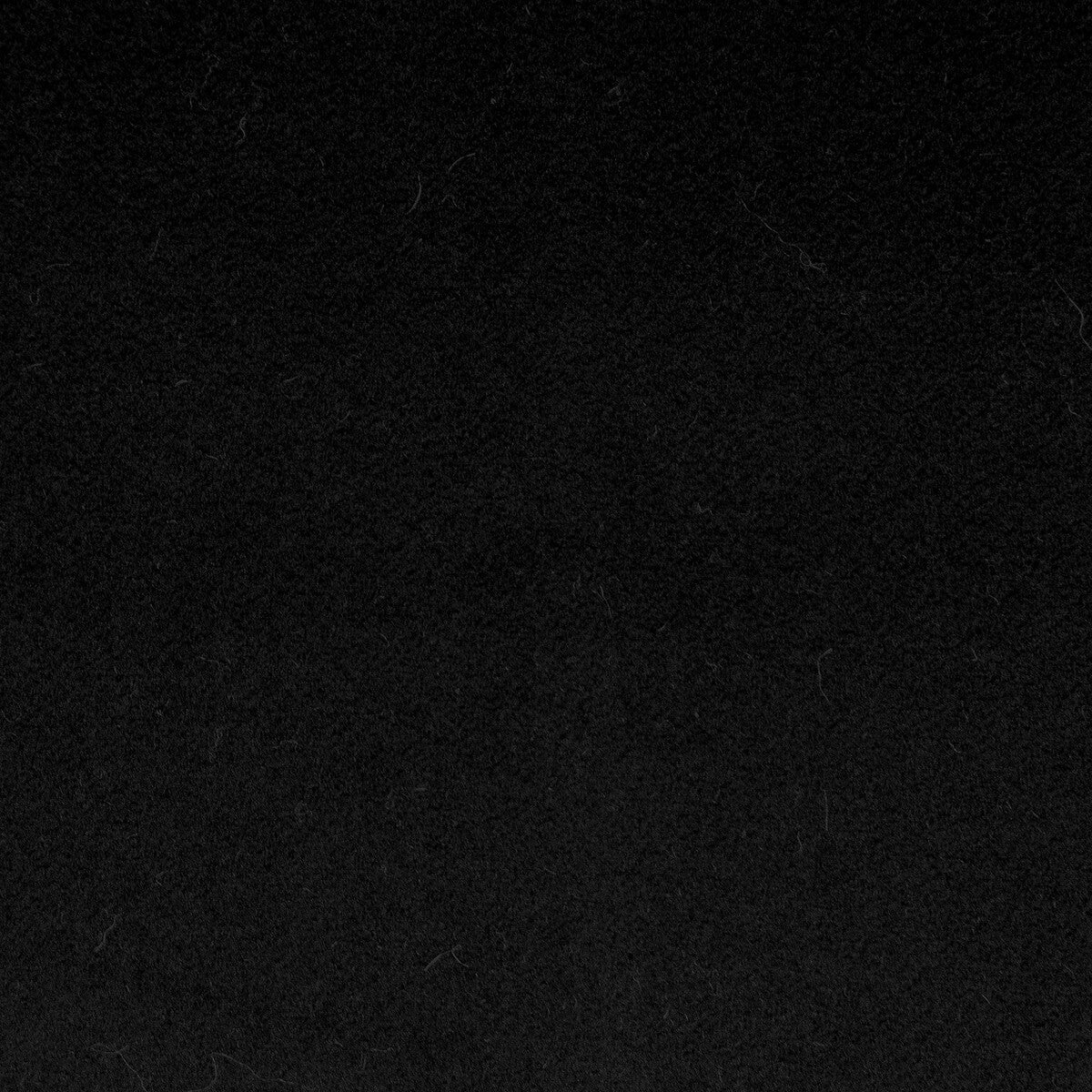 gdt55820010-denver-black-gaston-y-daniela