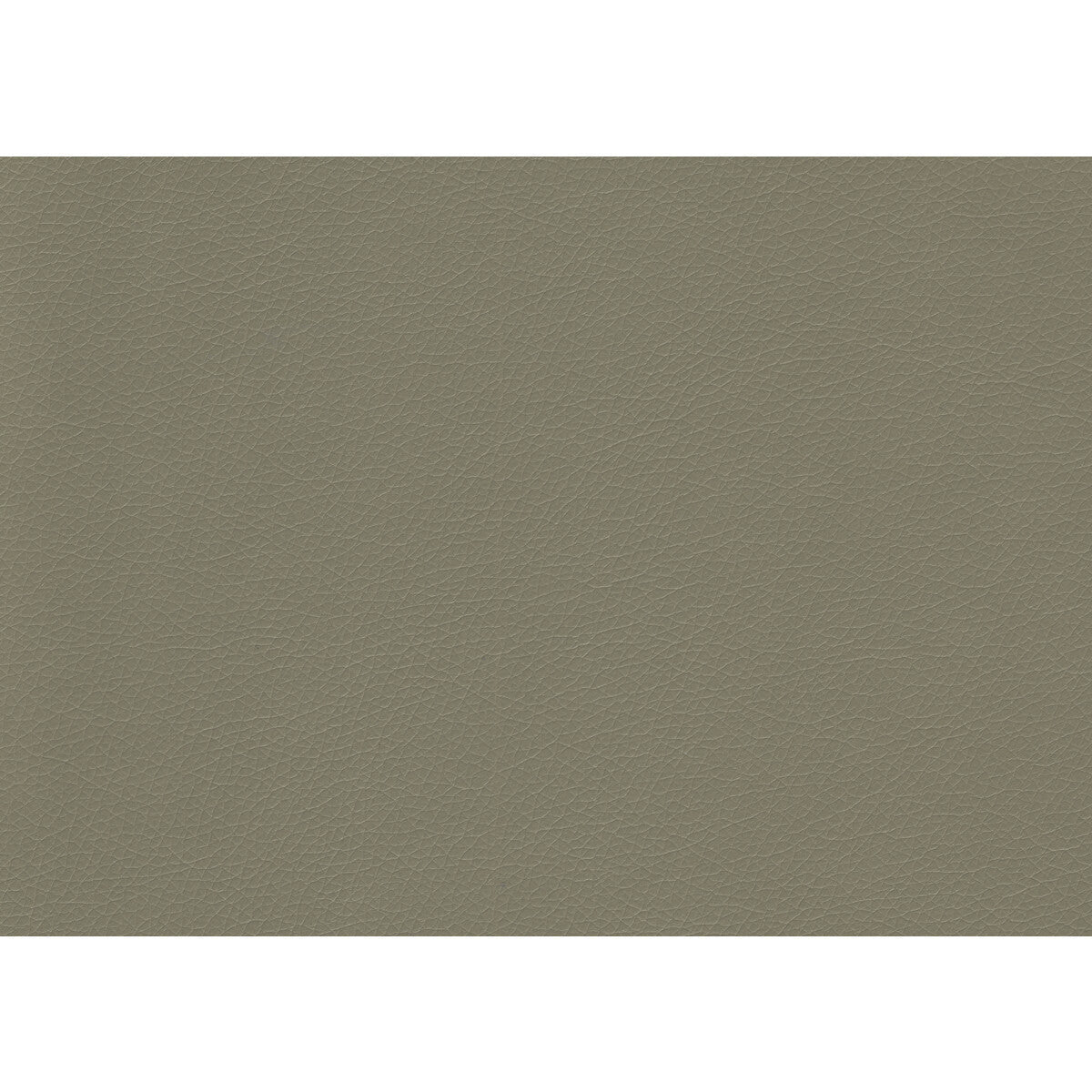 valera110-valera-greystone-kravet-contract - KRAVET CONTRACT Fabric