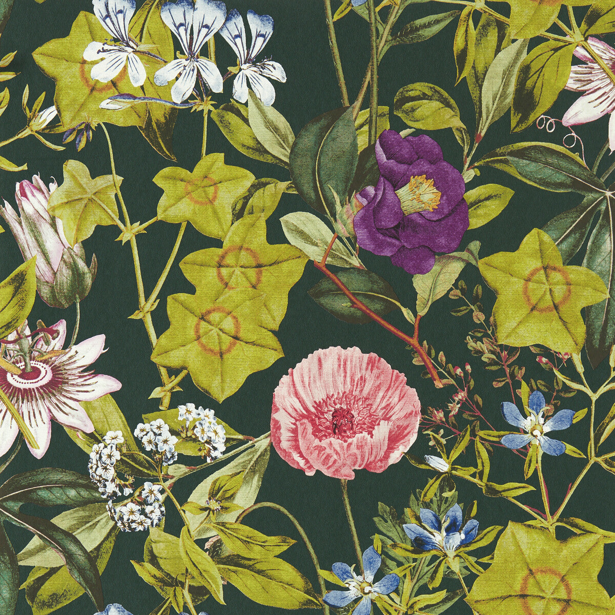 w014302cac0-passiflora-emerald-wp-clarke-and-clarke - CLARKE AND CLARKE Wallpaper