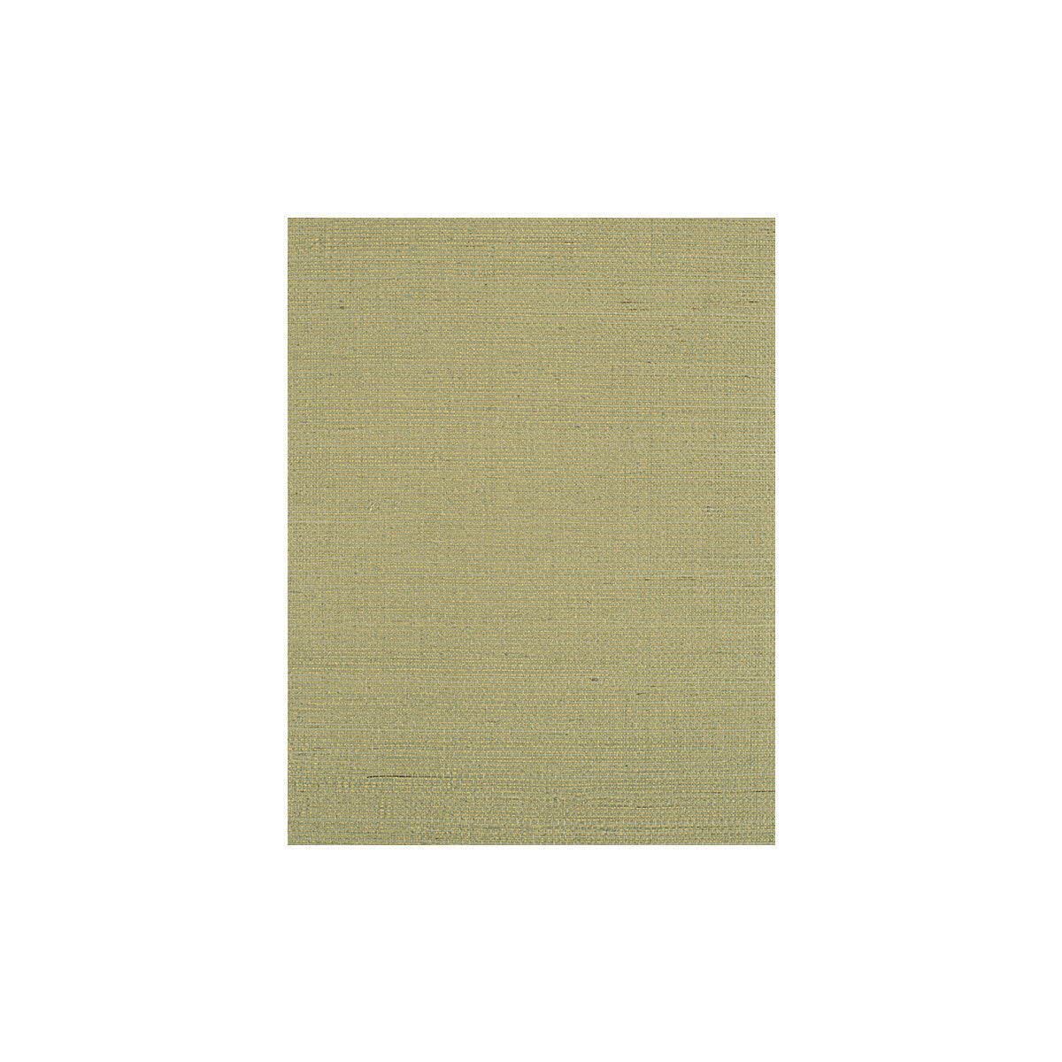 wiw2518wt0-bermuda-mint-winfield-thybony - WINFIELD THYBONY Wallpaper
