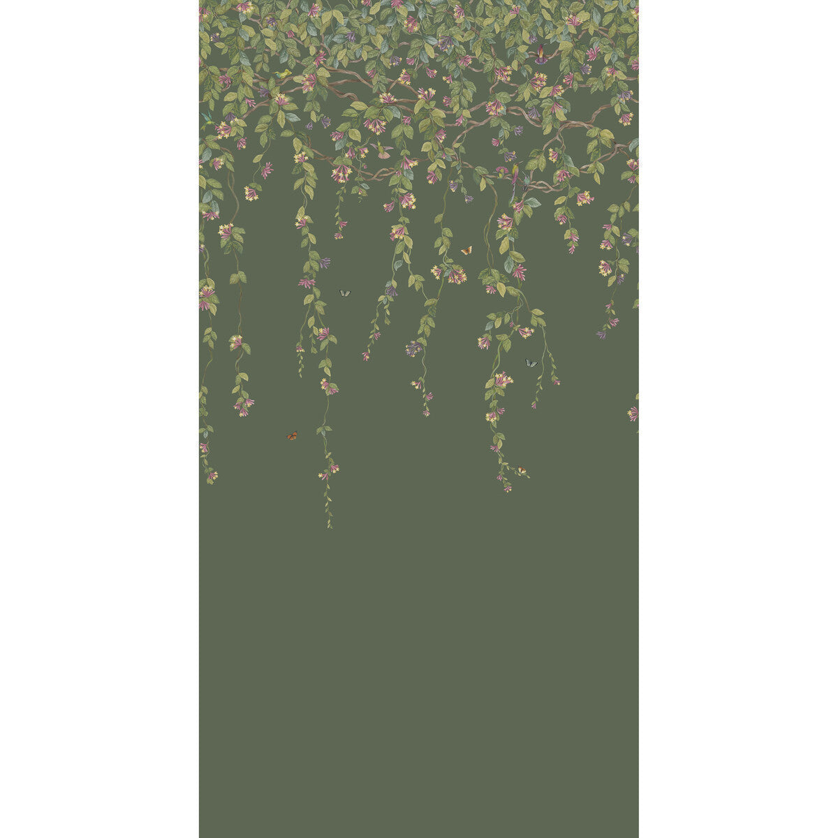 1242012cs0-hummingbirds-flora-sage-cole-son