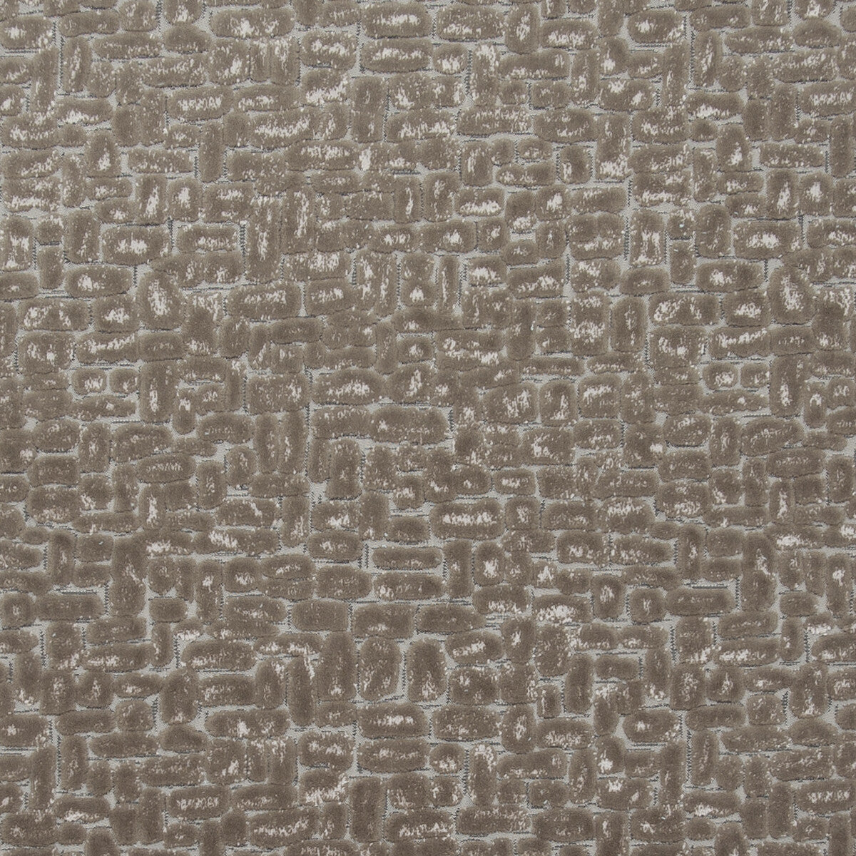 f075212cac0-moda-taupe-clarke-and-clarke - CLARKE AND CLARKE Fabric