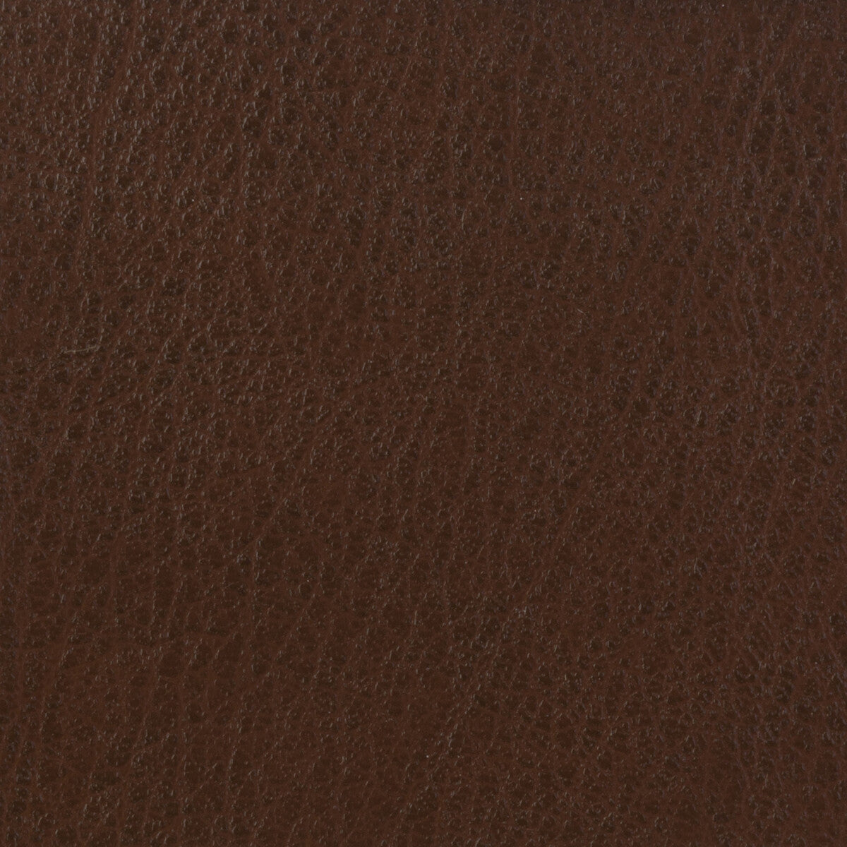celine6160-kravet-basics-celine-616 - KRAVET BASICS Fabric