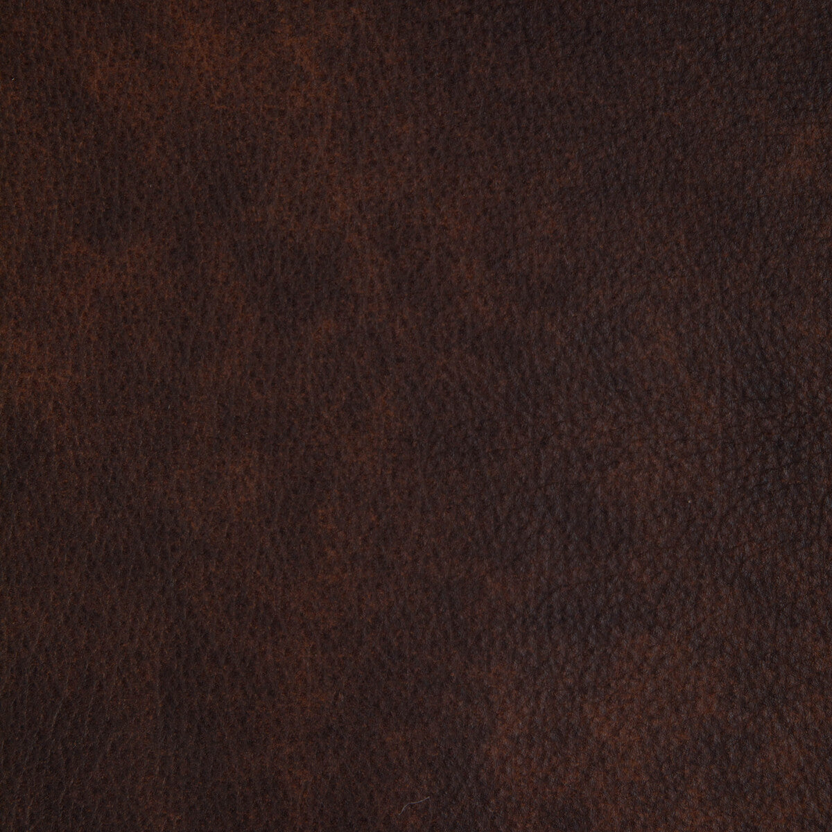 l-laramiecedar0-kravet-design-l-laramie-cedar-kravet-design