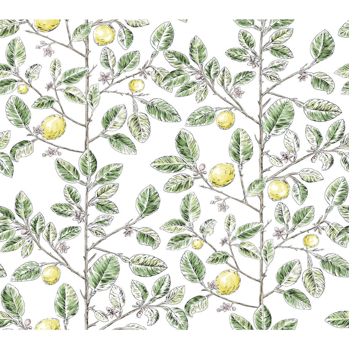 w42413400-kravet-design-w4241-340-kravet-design