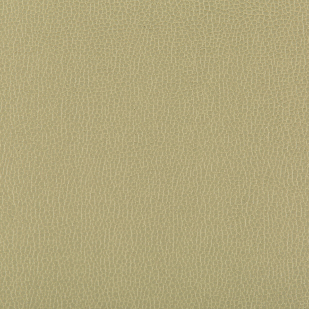 lenox300-lenox-sage-kravet-contract