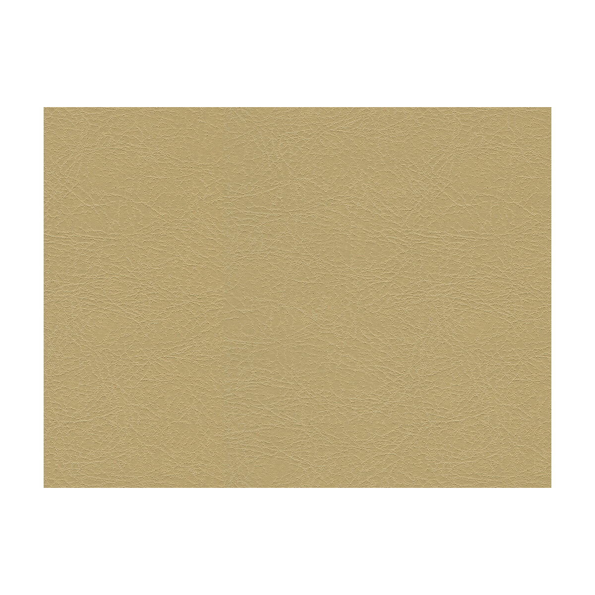 garoua160-kravet-design-garoua-16-kravet-design