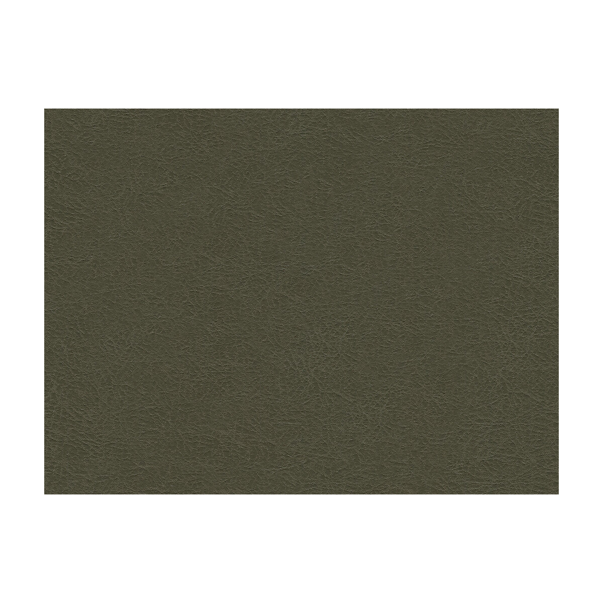 garoua210-kravet-design-garoua-21-kravet-design