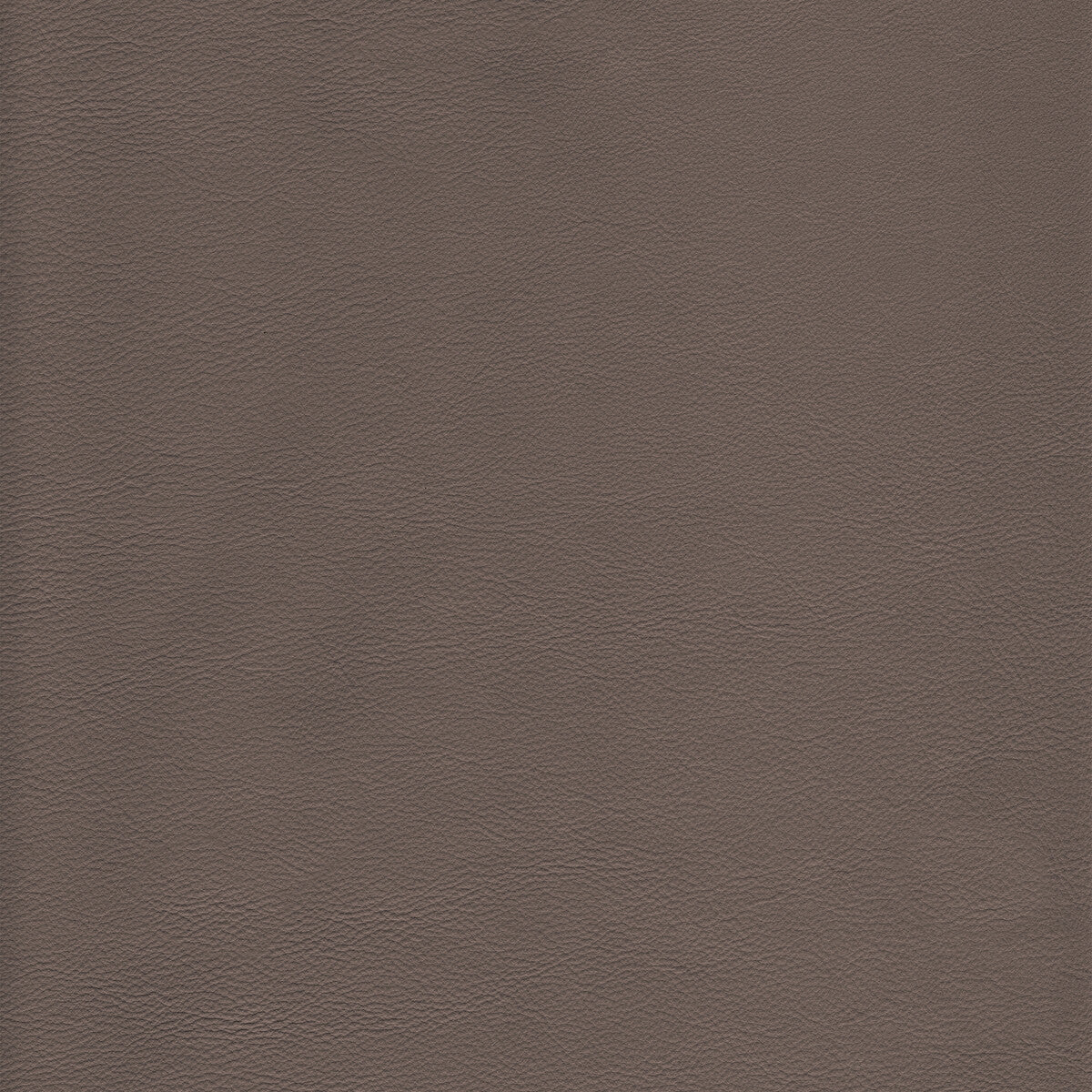l-howdytaupe0-kravet-design-l-howdy-taupe-kravet-design